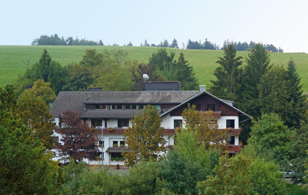 Alemannenhof Hotel Engel Rickenbach  Экстерьер фото